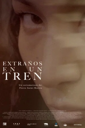 Постер: Extraños en un tren