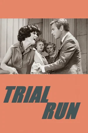 Постер: Trial Run