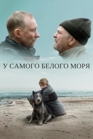 Постер: У самого белого моря