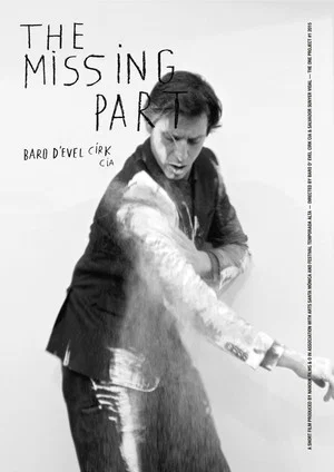 Постер: The Missing Part