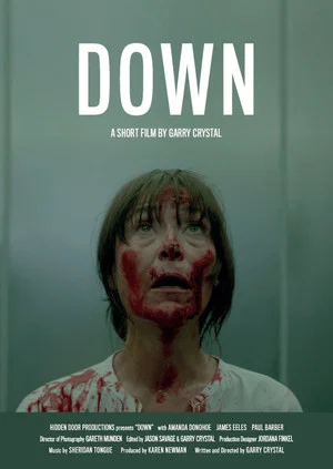 Постер: Down