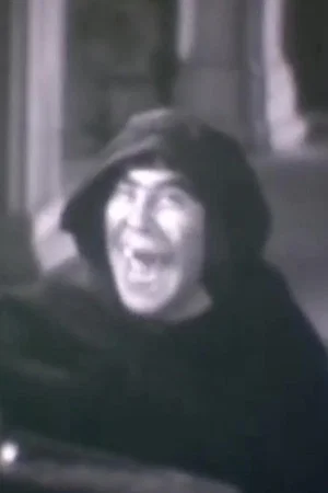 Постер: The Mad Monk