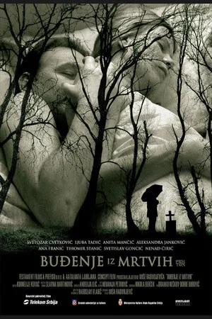 Постер: Awakening from the Dead
