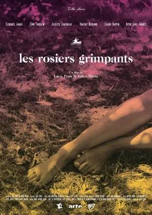 Постер: The Climbing Roses