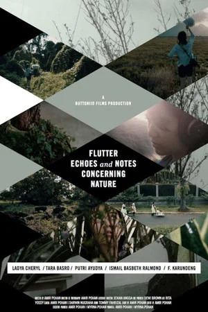 Постер: Flutter Echoes and Notes Concerning Nature
