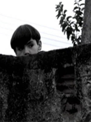Постер: O Muro