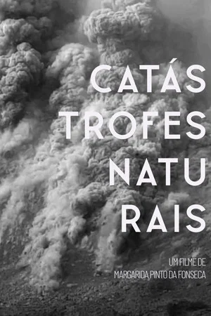 Постер: Natural Disasters