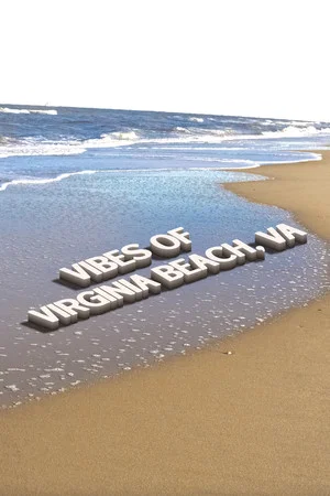 Постер: Vibes in Virginia Beach