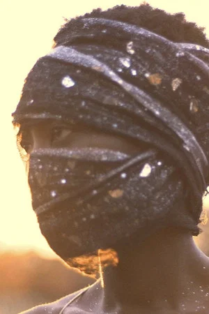 Постер: Prison of the Sun