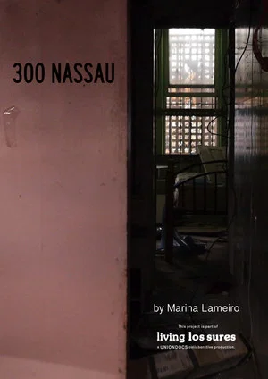 Постер: 300 Nassau