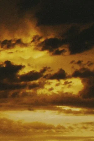 Постер: Petrichor