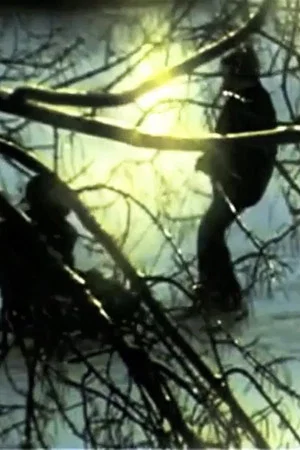 Постер: The Window