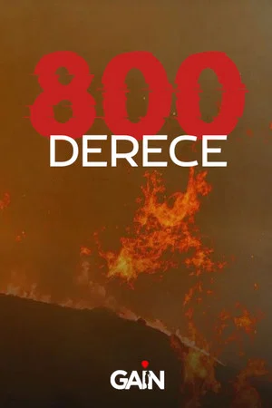 Постер: 800 Derece