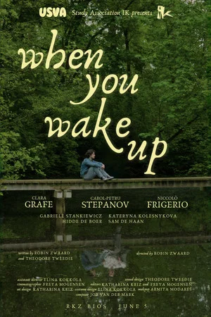 Постер: When You Wake Up