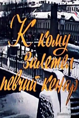 Постер: К кому залетел певчий кенар