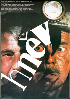 Постер: Hněv