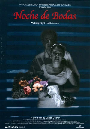 Постер: Wedding Night