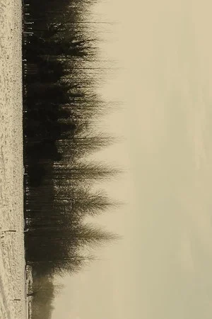 Постер: REVELATION