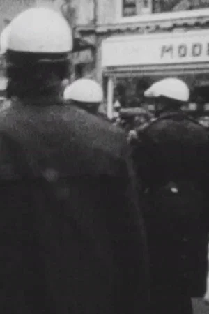 Постер: De Dokstaking (Dokstaking '73)