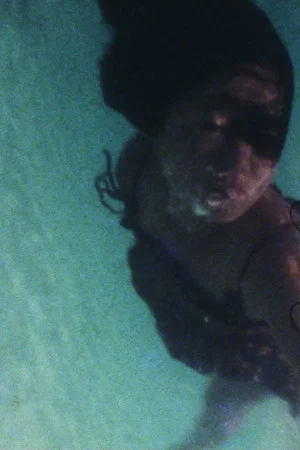 Постер: Everyone is Down There