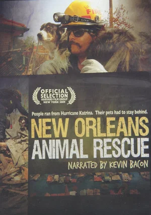 Постер: New Orleans Animal Rescue
