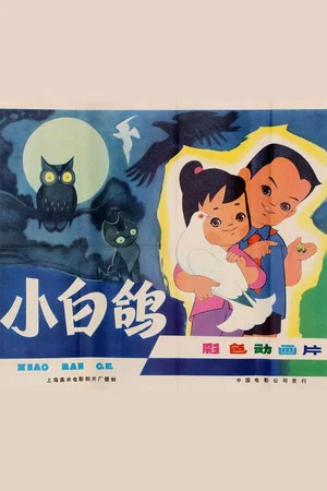 Постер: 小白鸽