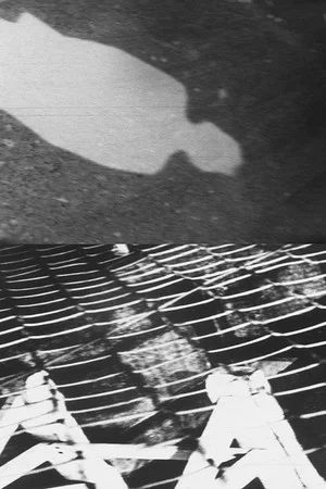 Постер: Shadow