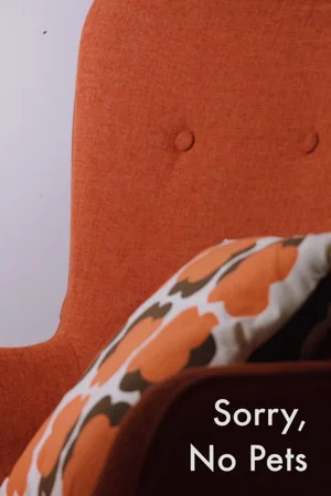 Постер: Sorry, No Pets