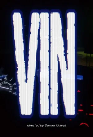 Постер: Vin