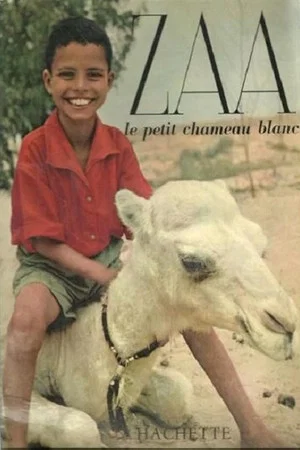Постер: Zaa, petit chameau blanc