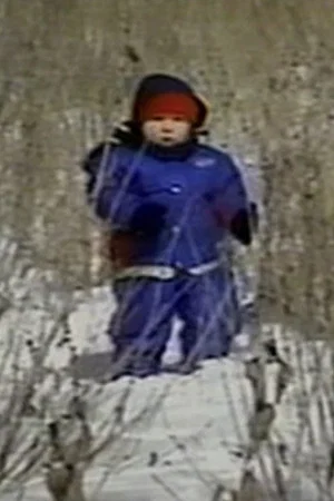 Постер: The Last of the Nepinaks