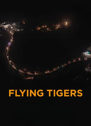 Постер: Flying Tigers