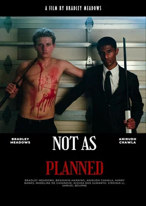 Постер: Not As Planned