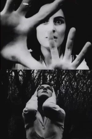 Постер: Hands of Purple Distances