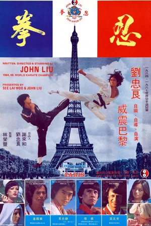 Постер: Zen Kwan Do Strikes Paris