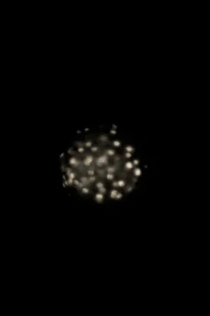 Постер: Phosphene