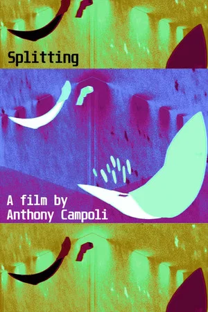 Постер: Splitting