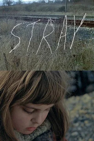 Постер: Stray