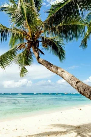 Постер: 21 Sexiest Beaches