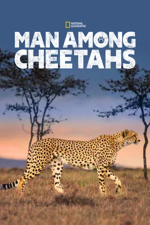 Постер: Man Among Cheetahs