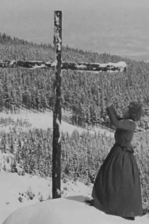 Постер: Winter Storms