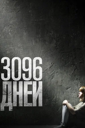 Постер: 3096 дней