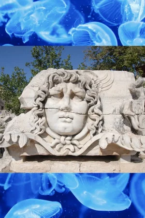 Постер: Medusa
