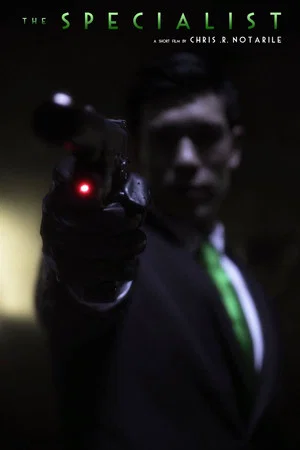 Постер: The Specialist