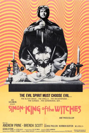 Постер: Simon, King of the Witches