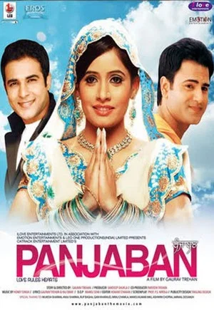 Постер: Panjaban