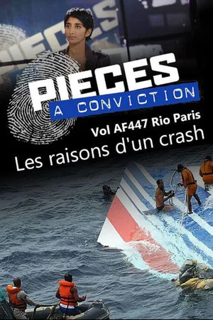 Постер: Pièces à conviction - Vol AF447 Rio Paris - Les raisons d'un crash