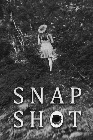 Постер: Snap Shot