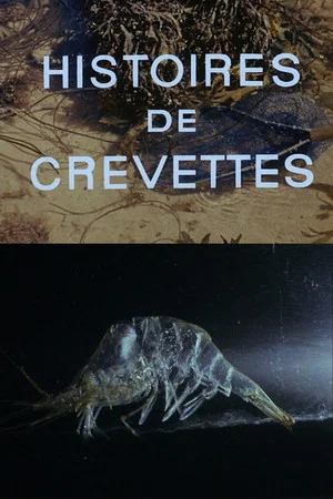 Постер: Shrimp Stories