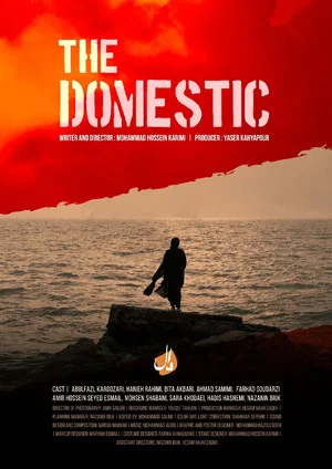 Постер: The Domestic
